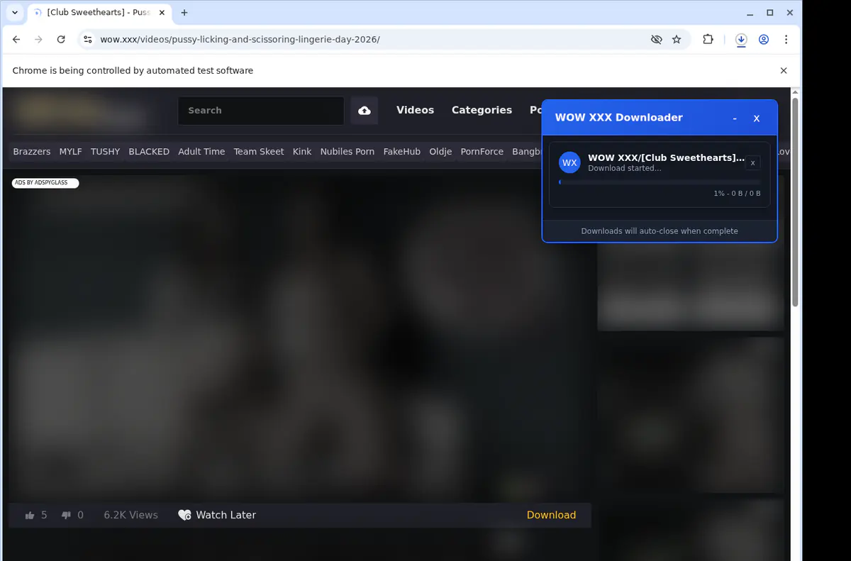 Wowxxx Video Downloader browser extension screenshot 2