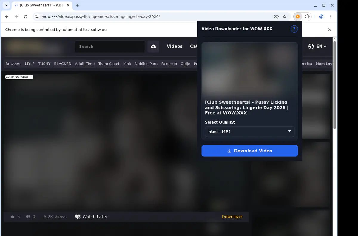 Wowxxx Video Downloader browser extension screenshot 3
