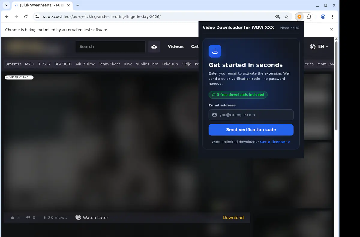 Wowxxx Video Downloader browser extension screenshot 5